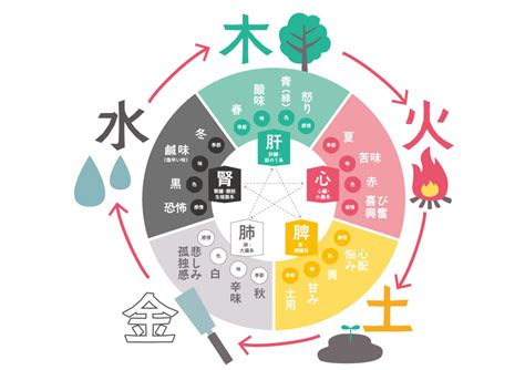 5行 火|五行説｜中国の自然哲学思想！万物は火・水・木・金 